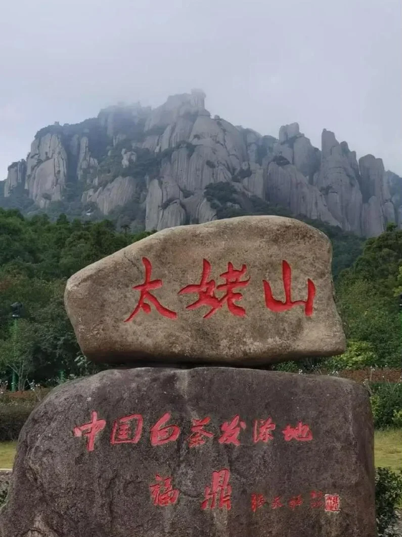 🌟 温州→宁德自驾沉浸山海-0回头