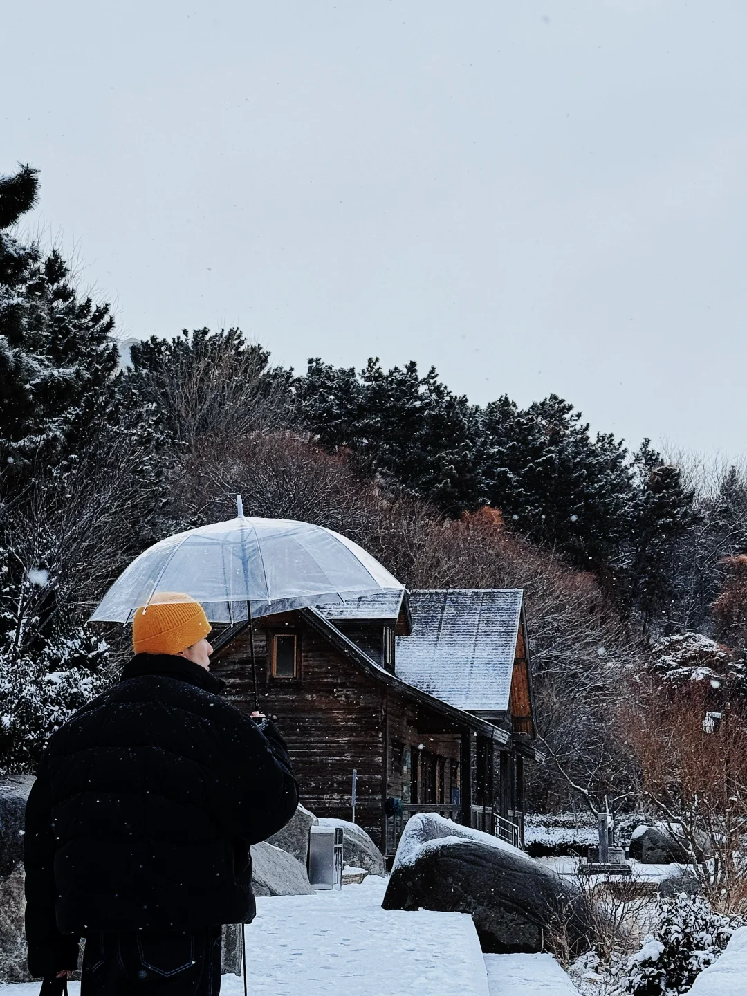 刚从威海回来，戒断反应也太大了‼️如何是好