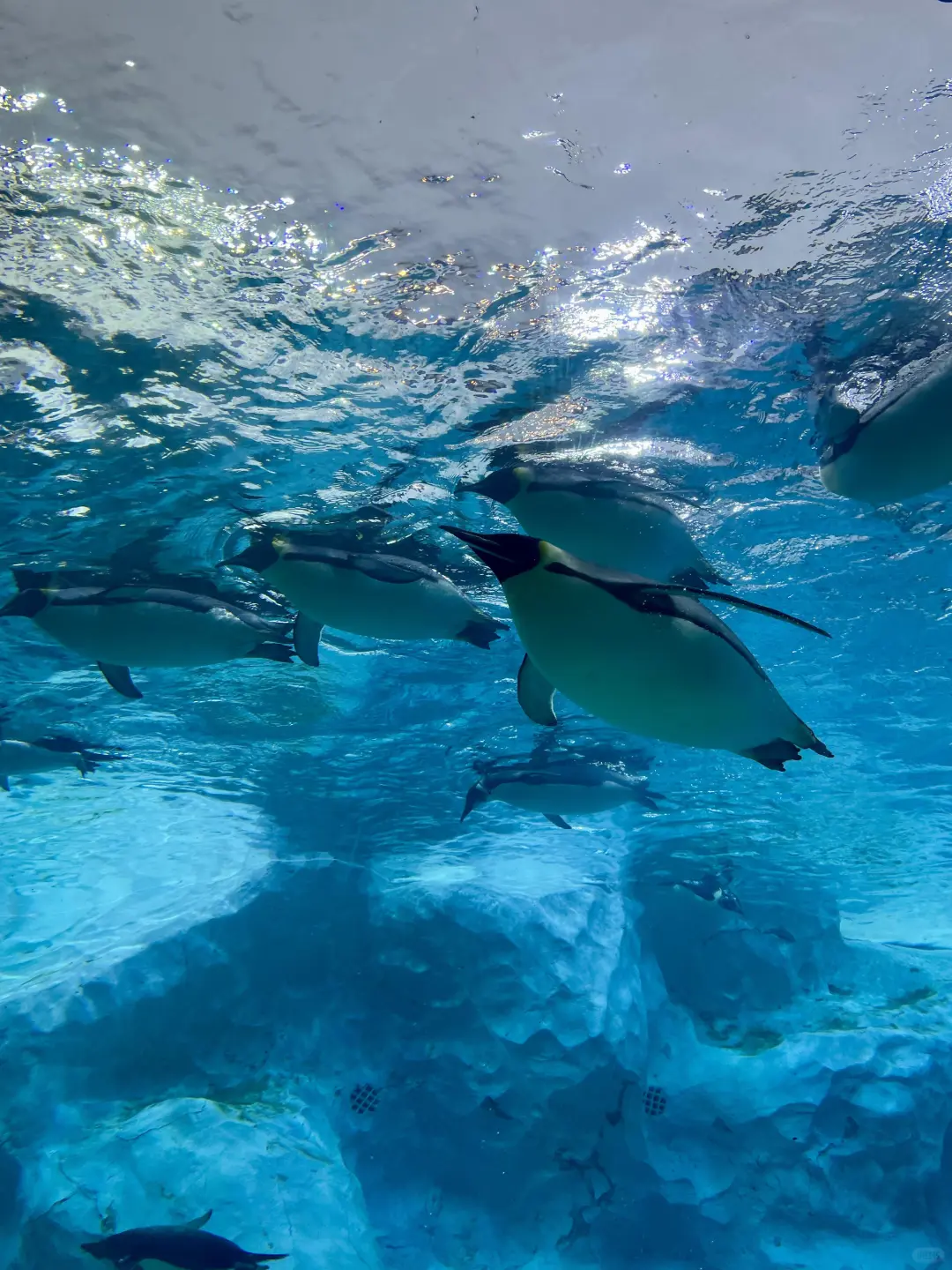 广东丨珠海“浪漫之城”⛱️