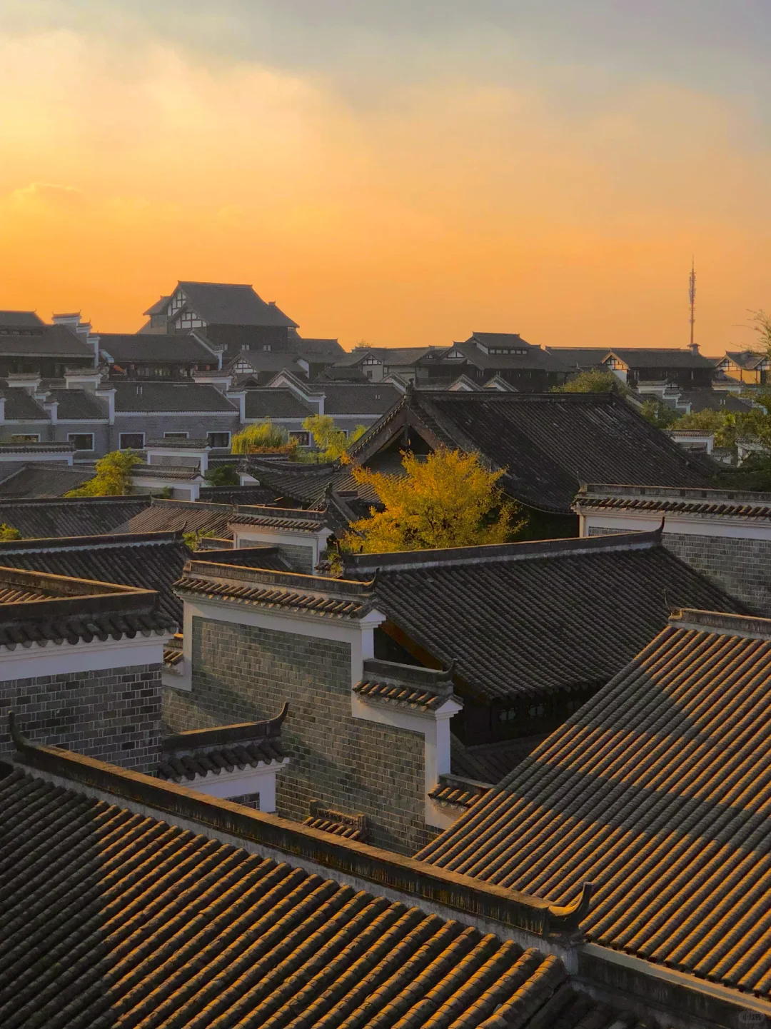 如果你也喜欢日落，不妨我们交换一张🌅