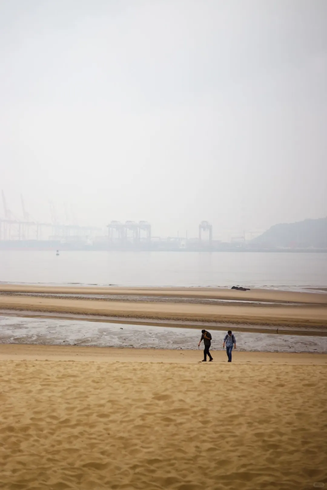 屿见厦门畅游卡深度攻略