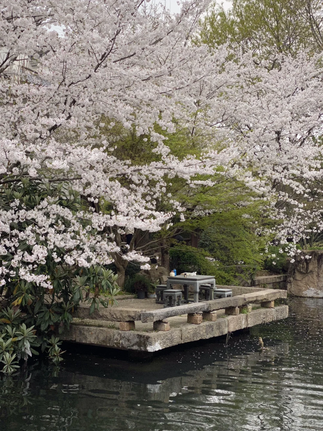 以为西湖已经够美了…😭直到我去了这里🌸
