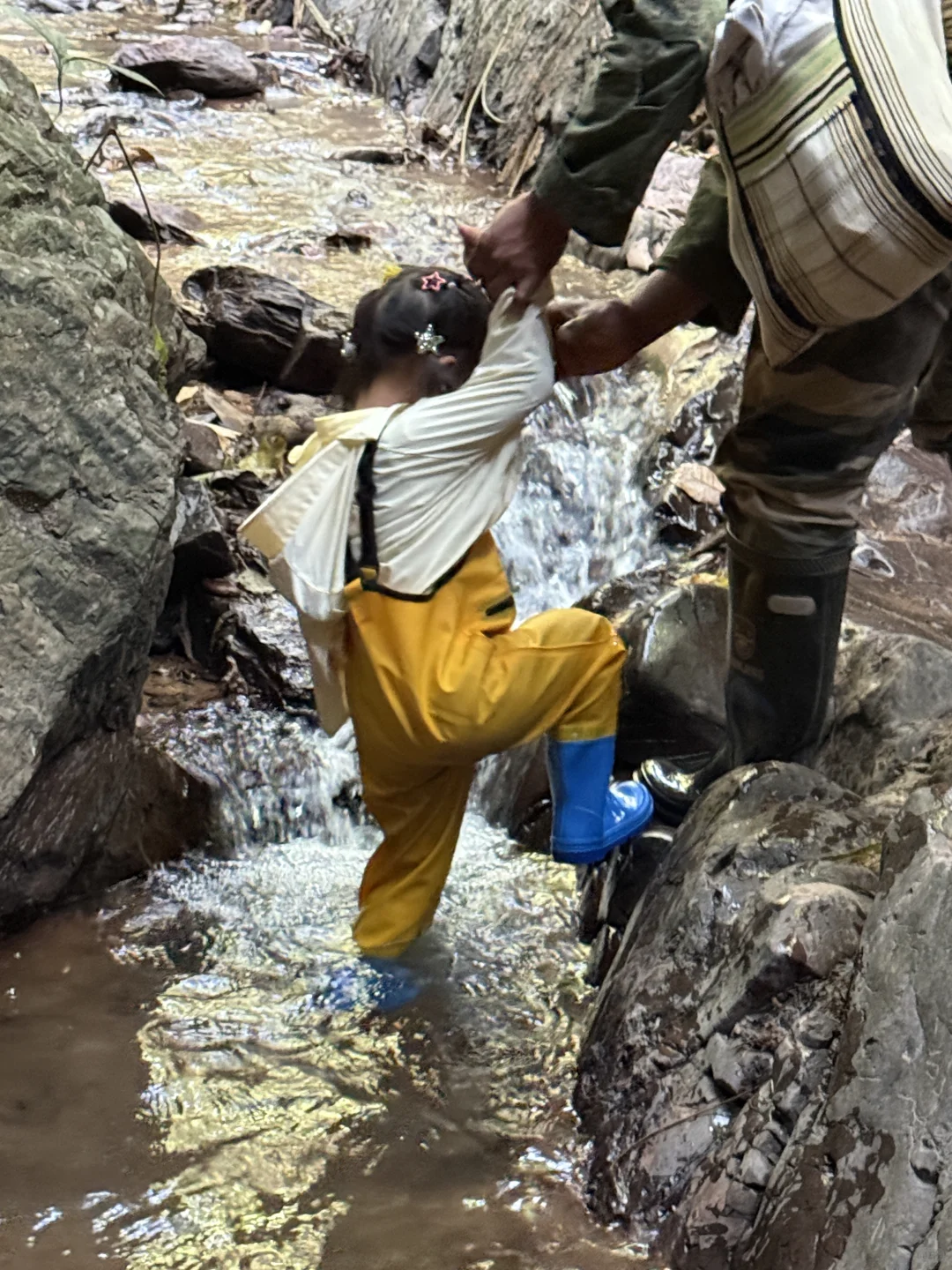 保姆级攻略玩转西双版纳！太想去养老啦！