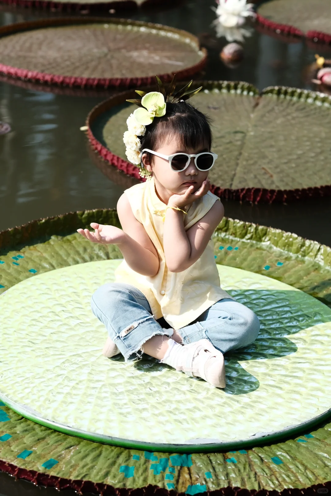 保姆级攻略玩转西双版纳！太想去养老啦！