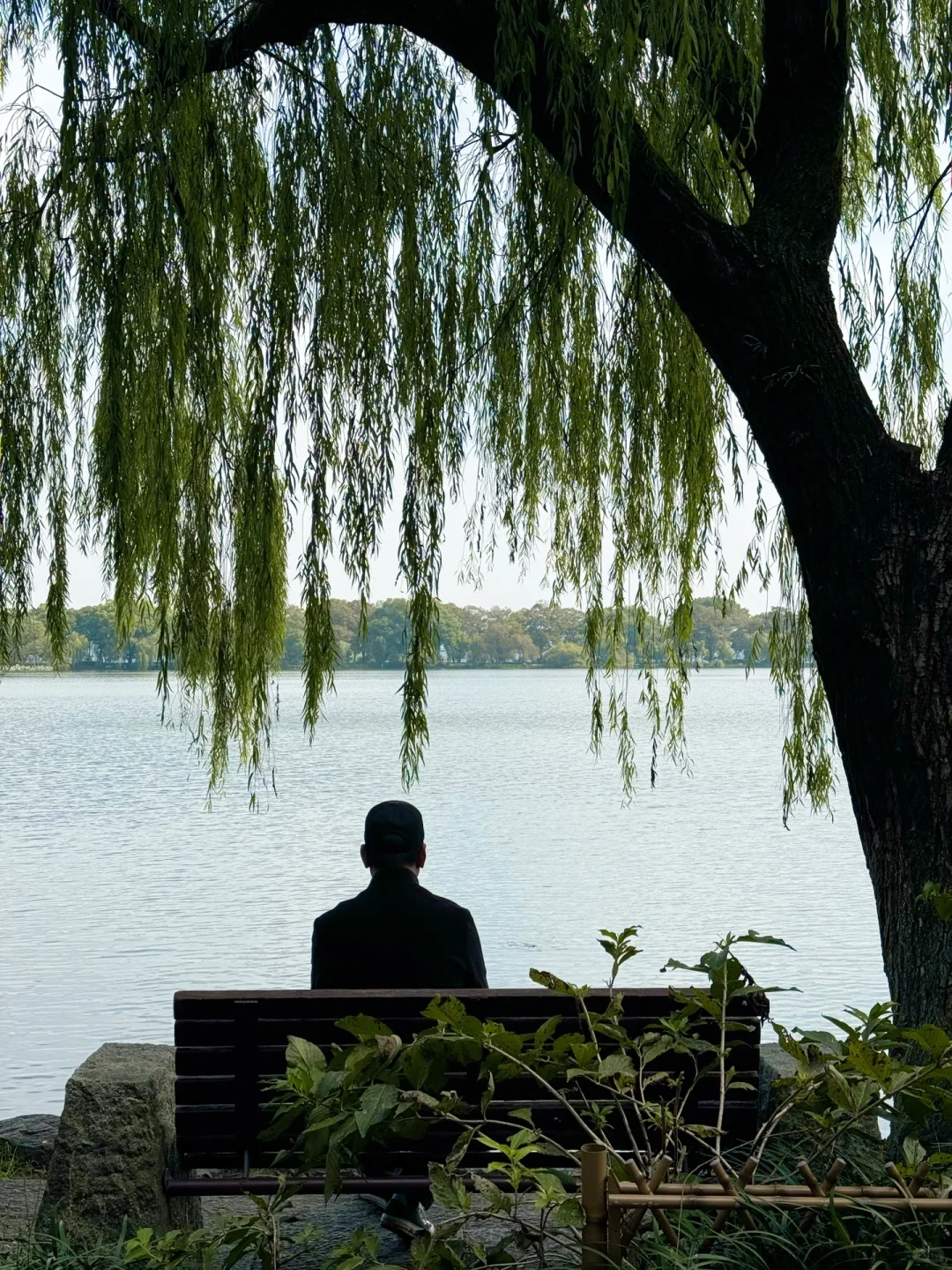 保姆级攻略！杭州亲子遛娃必打卡宝藏景点