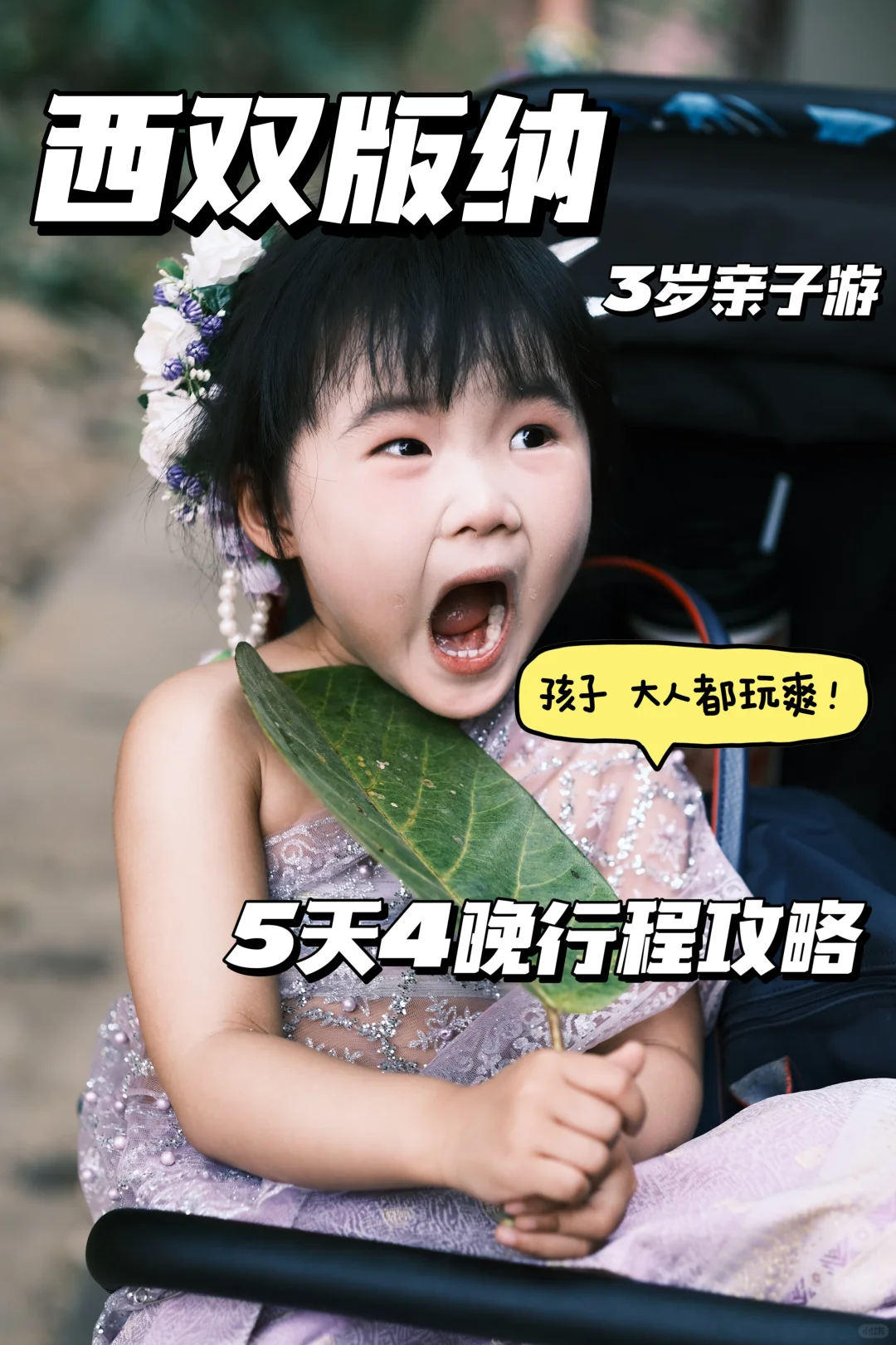 保姆级攻略玩转西双版纳！太想去养老啦！