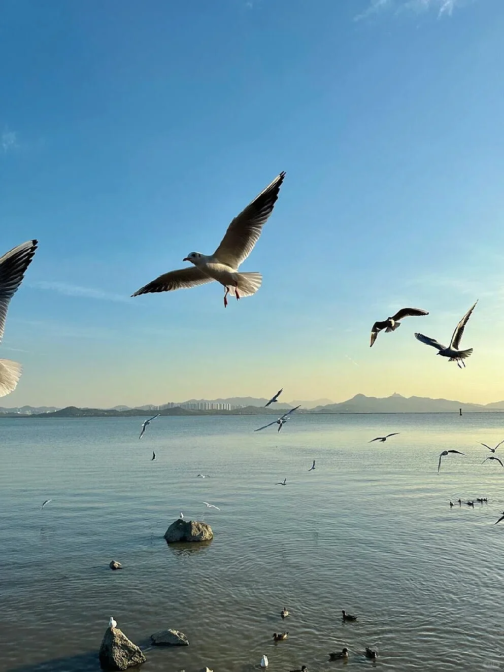 深圳必去九大景点|新手必看❗️附攻略