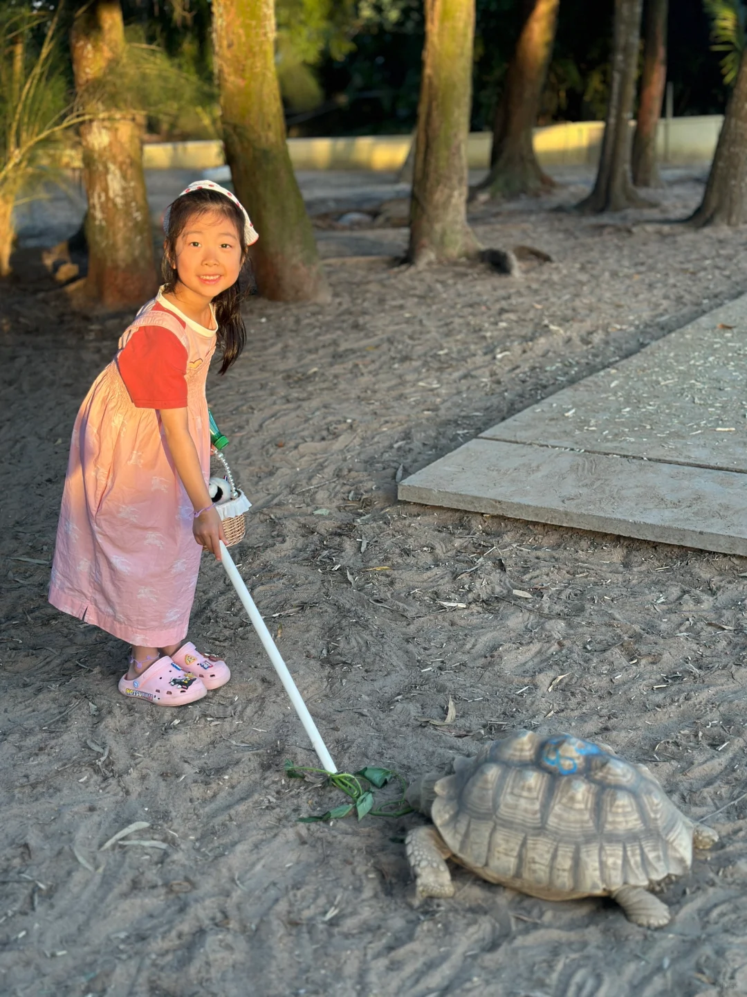 北京出发陵水｜俩妈带俩娃超详细旅游攻略