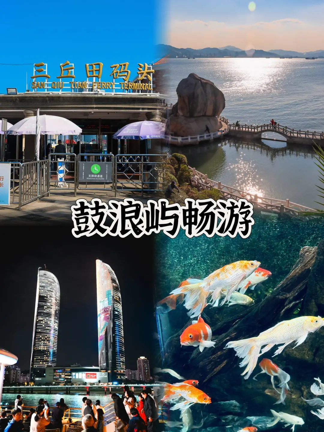 屿见厦门畅游卡深度攻略