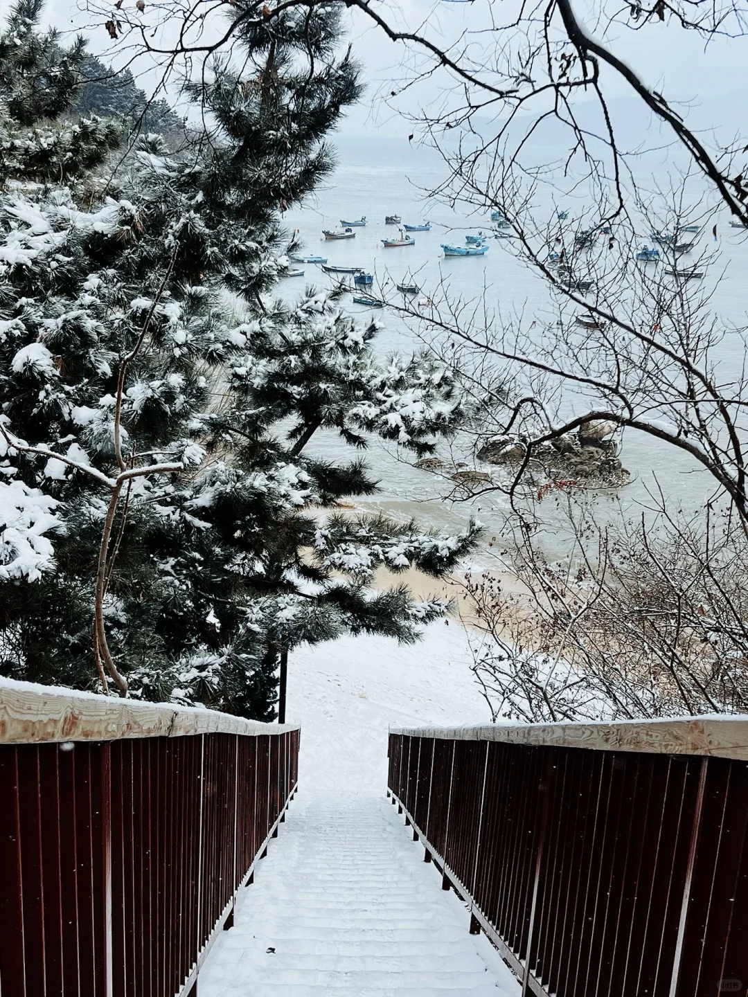 刚从威海回来，戒断反应也太大了‼️如何是好