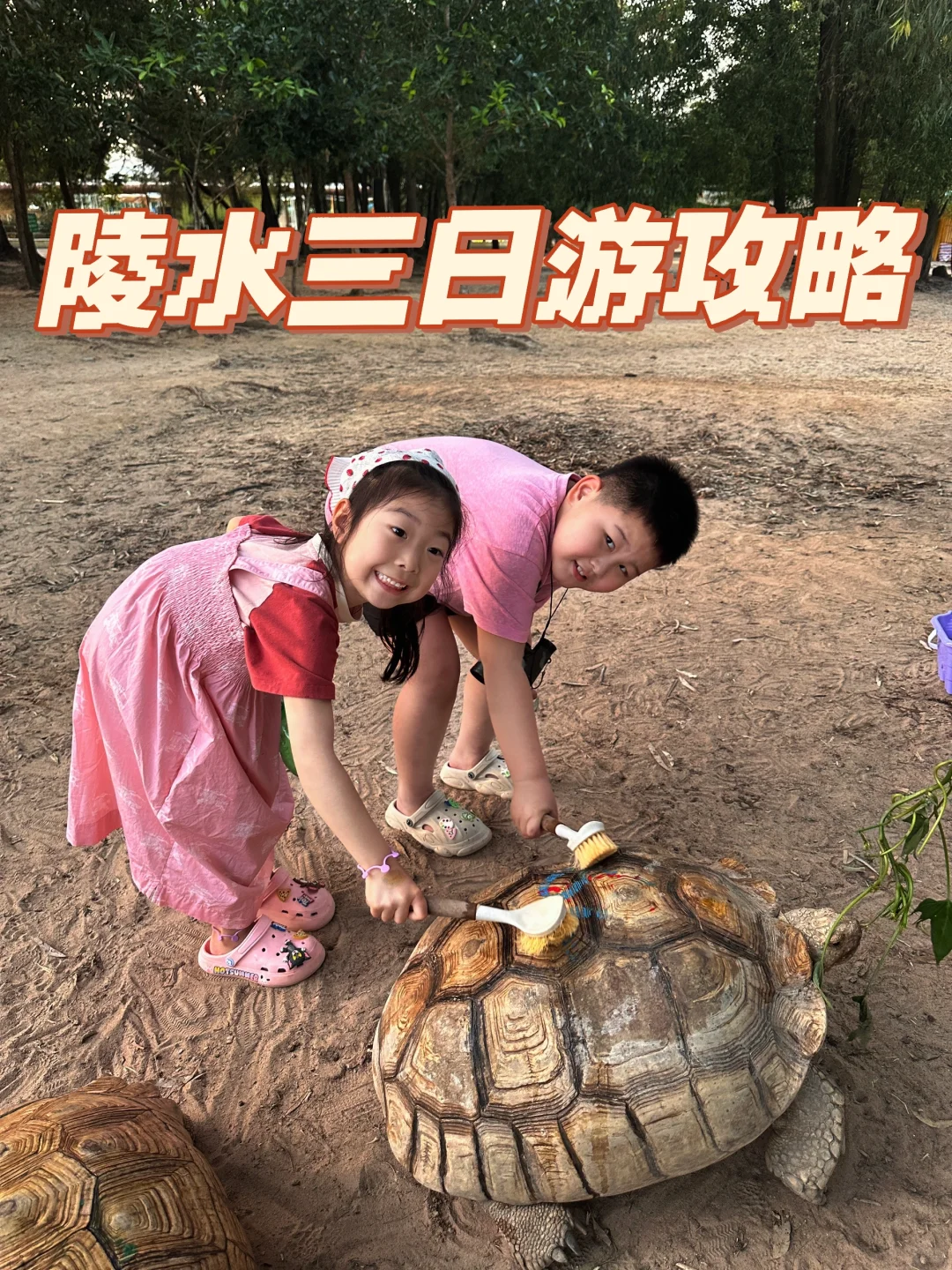 北京出发陵水｜俩妈带俩娃超详细旅游攻略