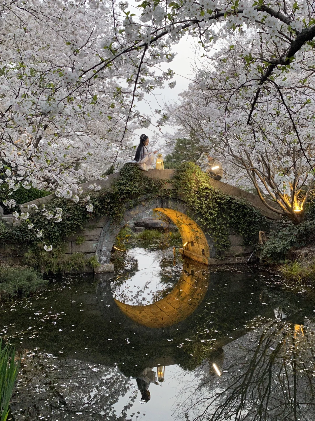 以为西湖已经够美了…😭直到我去了这里🌸