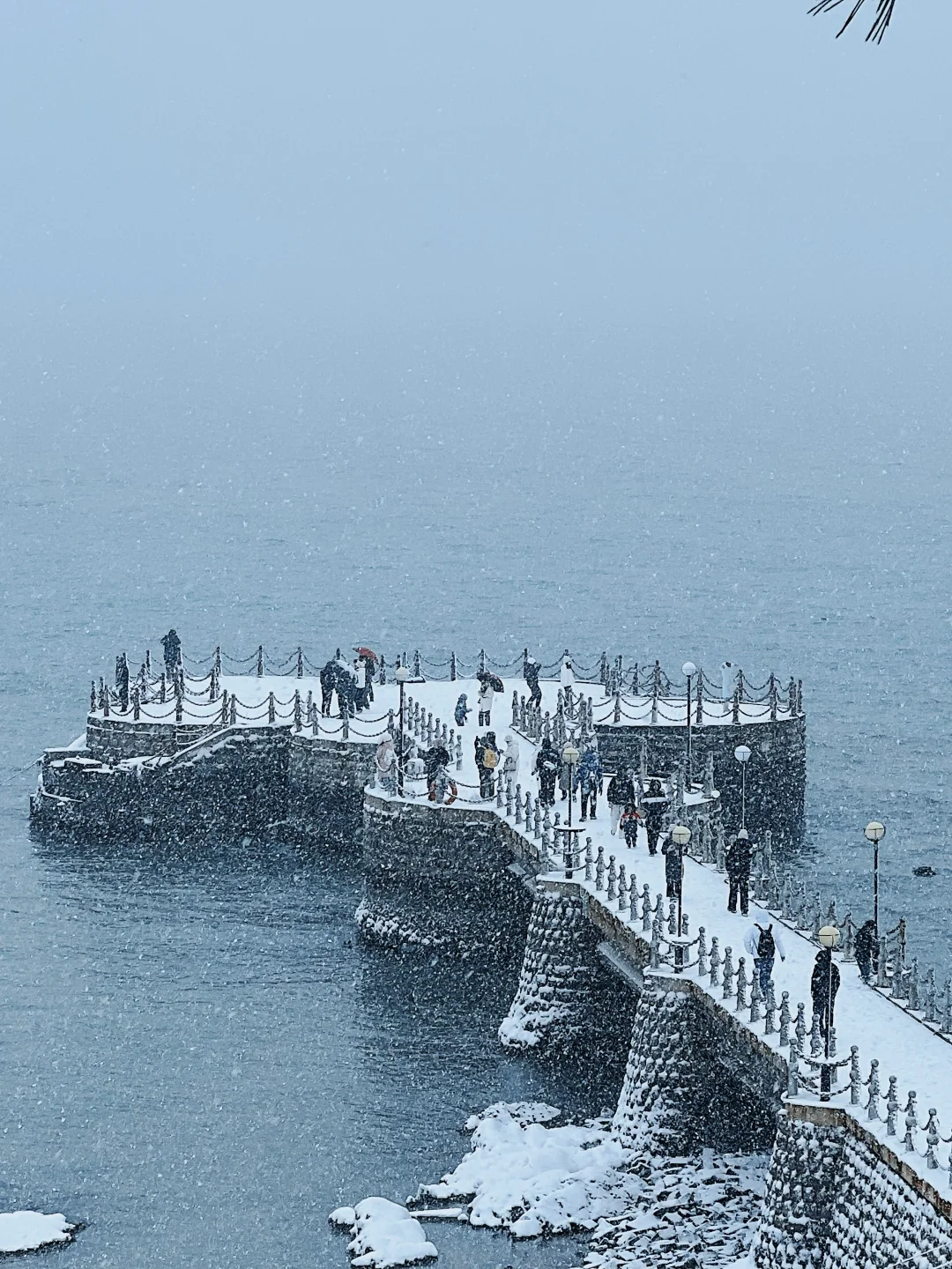 刚从威海回来，戒断反应也太大了‼️如何是好