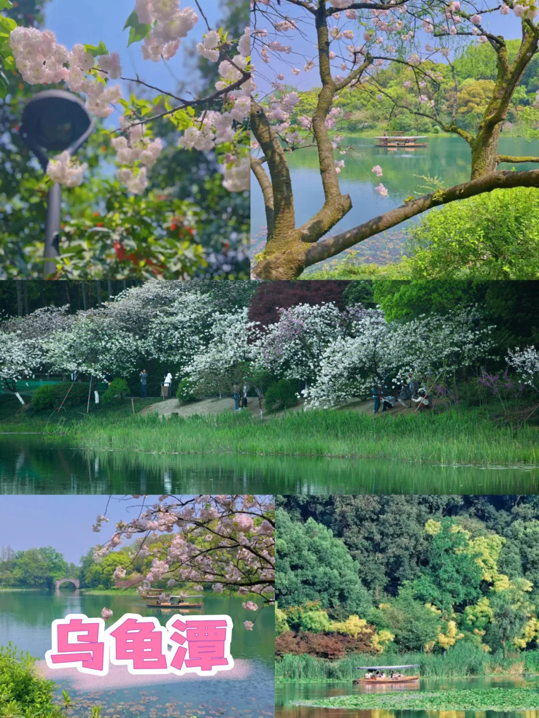 3月赏花季|杭州被狠狠低估的5个小众景点