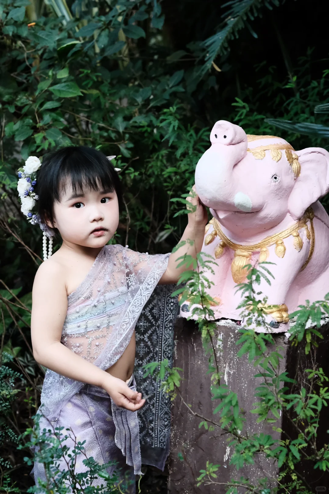 保姆级攻略玩转西双版纳！太想去养老啦！