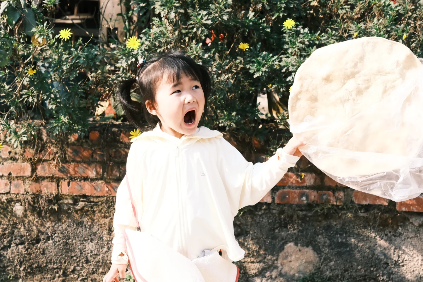 保姆级攻略玩转西双版纳！太想去养老啦！