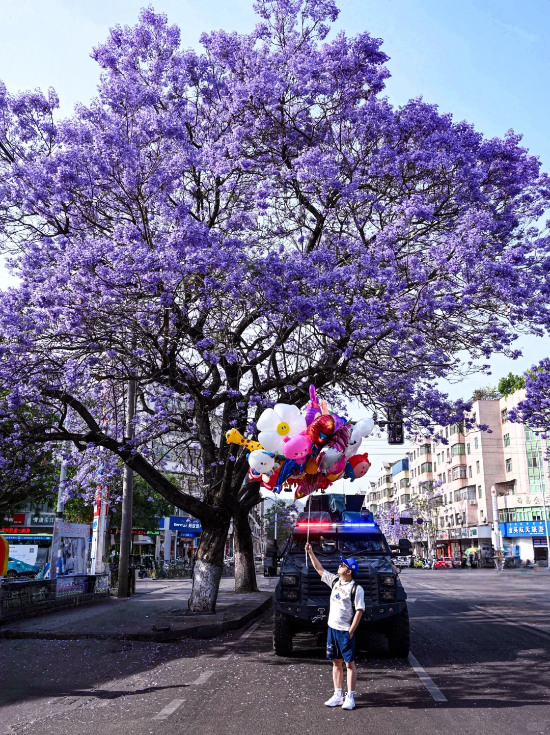 💜成都3️⃣小时，谁懂这一刻浪漫紫的含金量❗