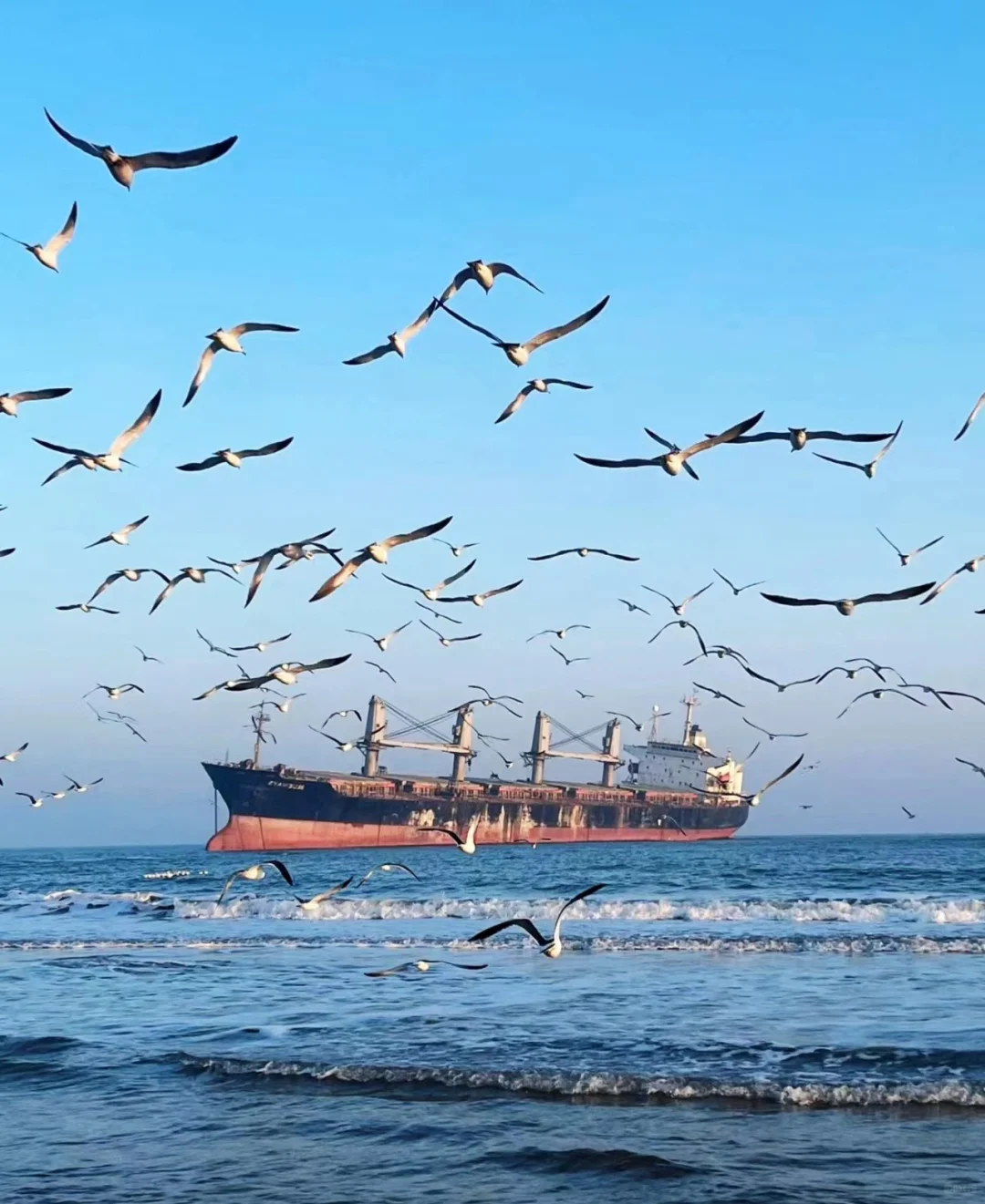 威海旅游攻略🏖️🪼