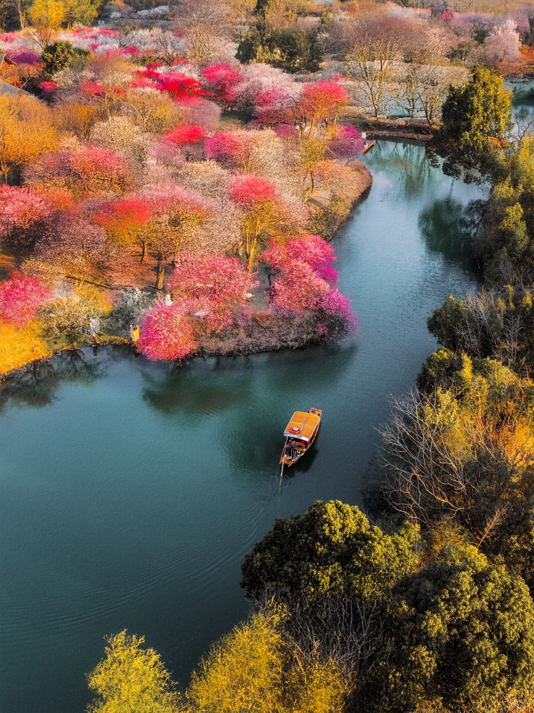 2月来杭州,我只推荐你去一个地方‼️