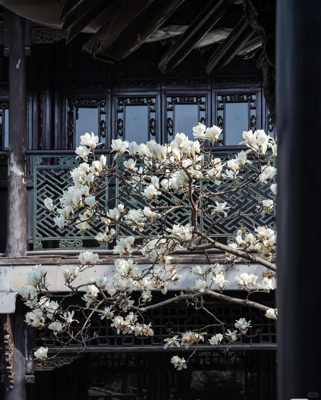 Deepseek推荐的淡季旅游地，人少景美还省钱！