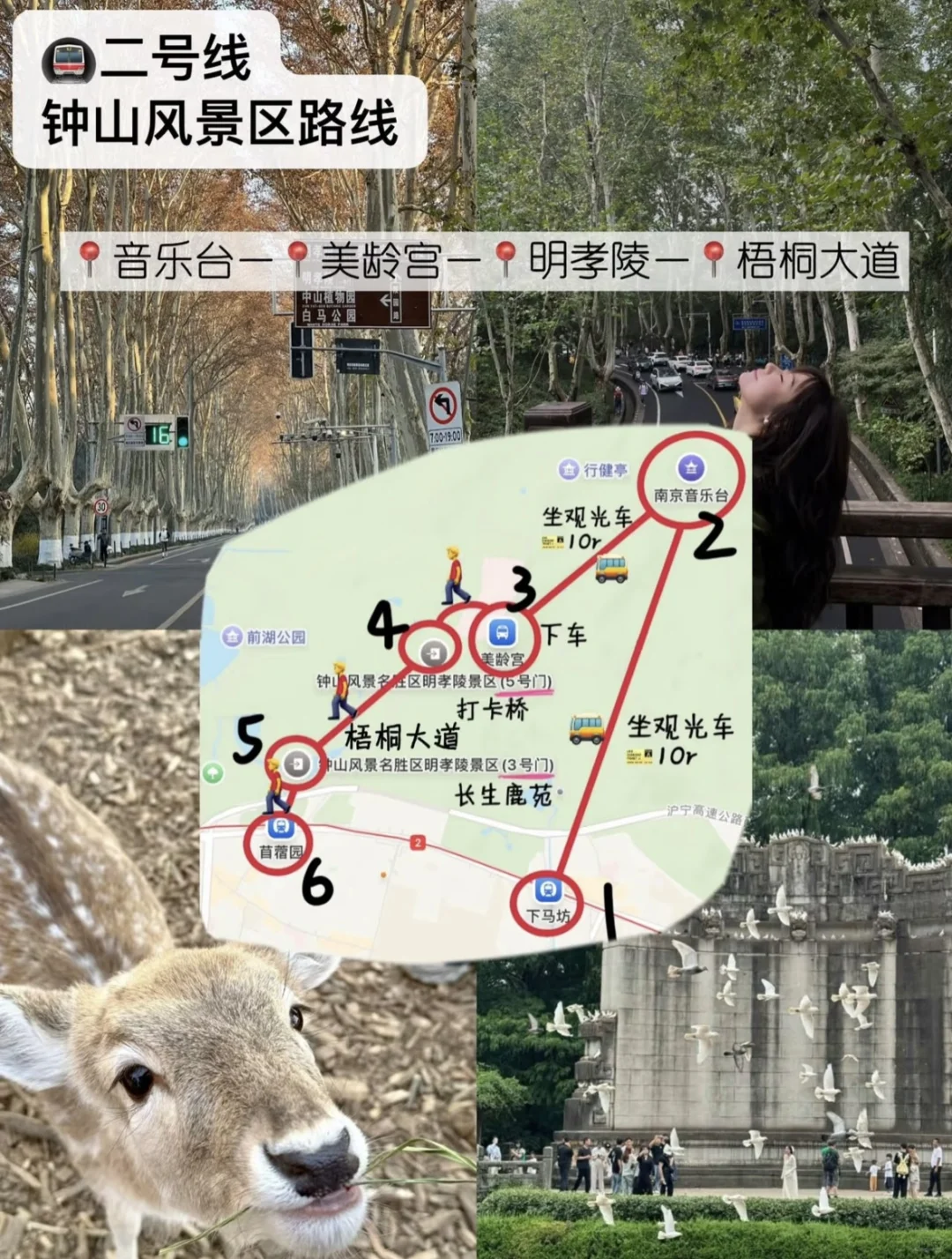 南京旅游👋绘全攻略‼️本地人总结！！