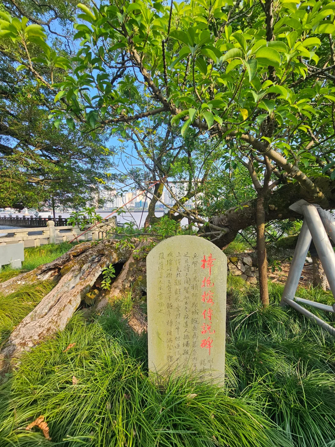 瓯江日落·温州江心屿