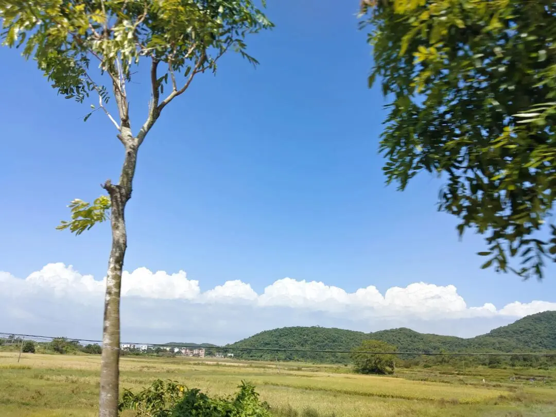 来啦！海陵岛一天一夜旅游攻略来啦！！