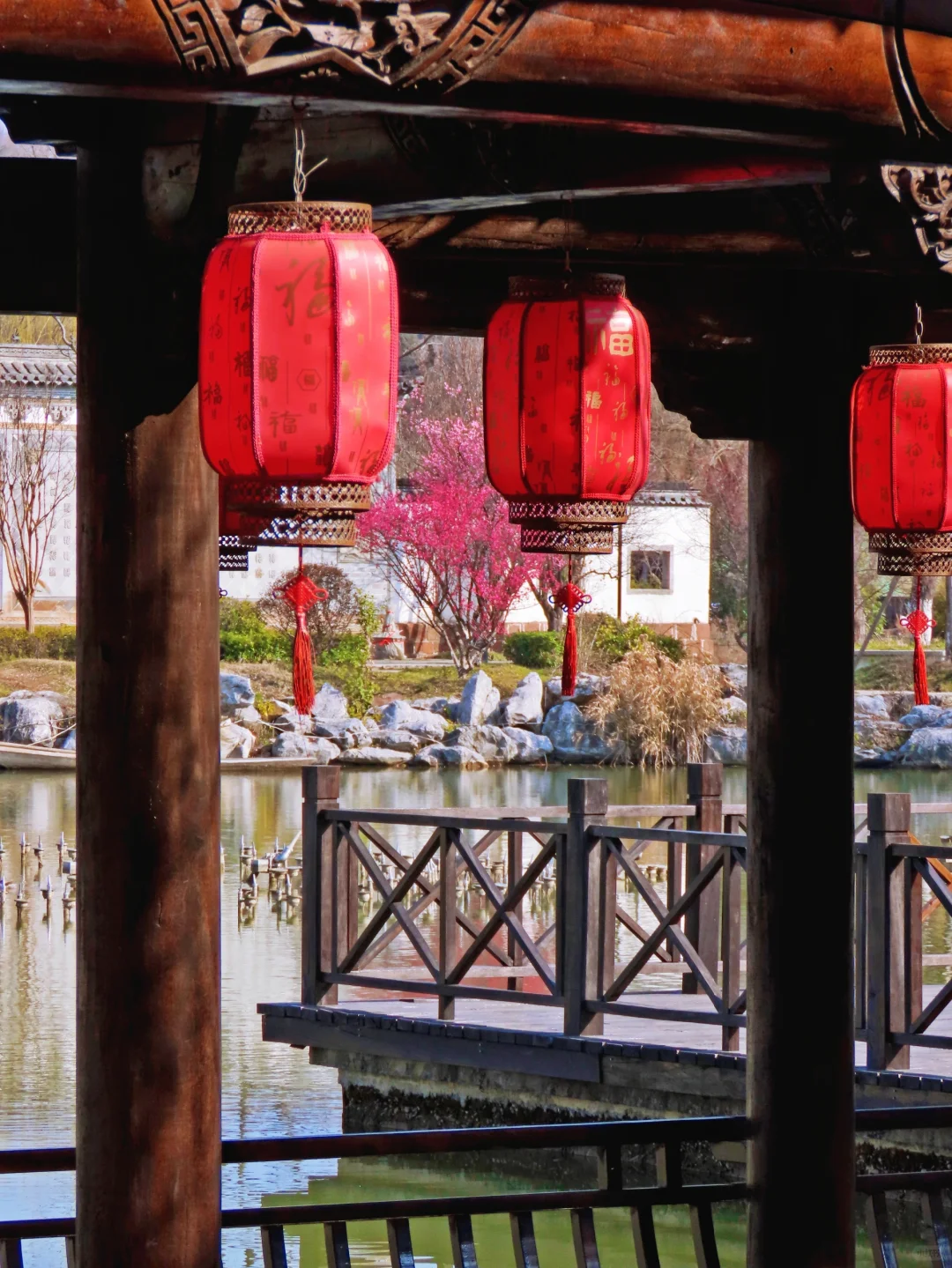 免费‼️南京这里的梅花即将花开成海