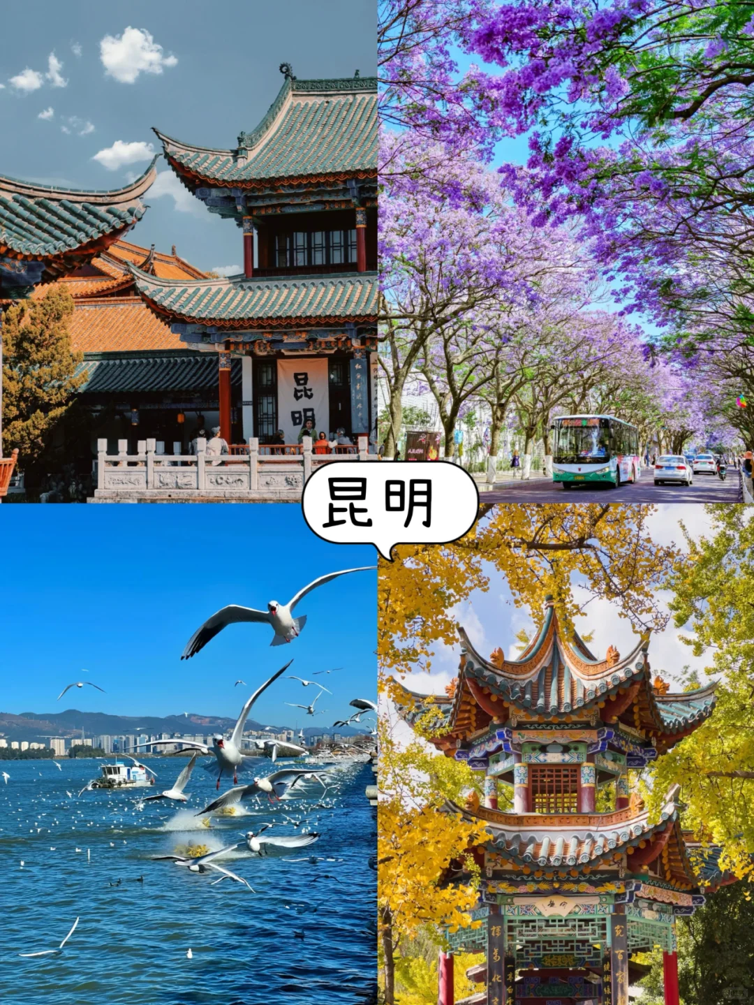 终于有人把云南旅游说明白了~轻松不绕路！