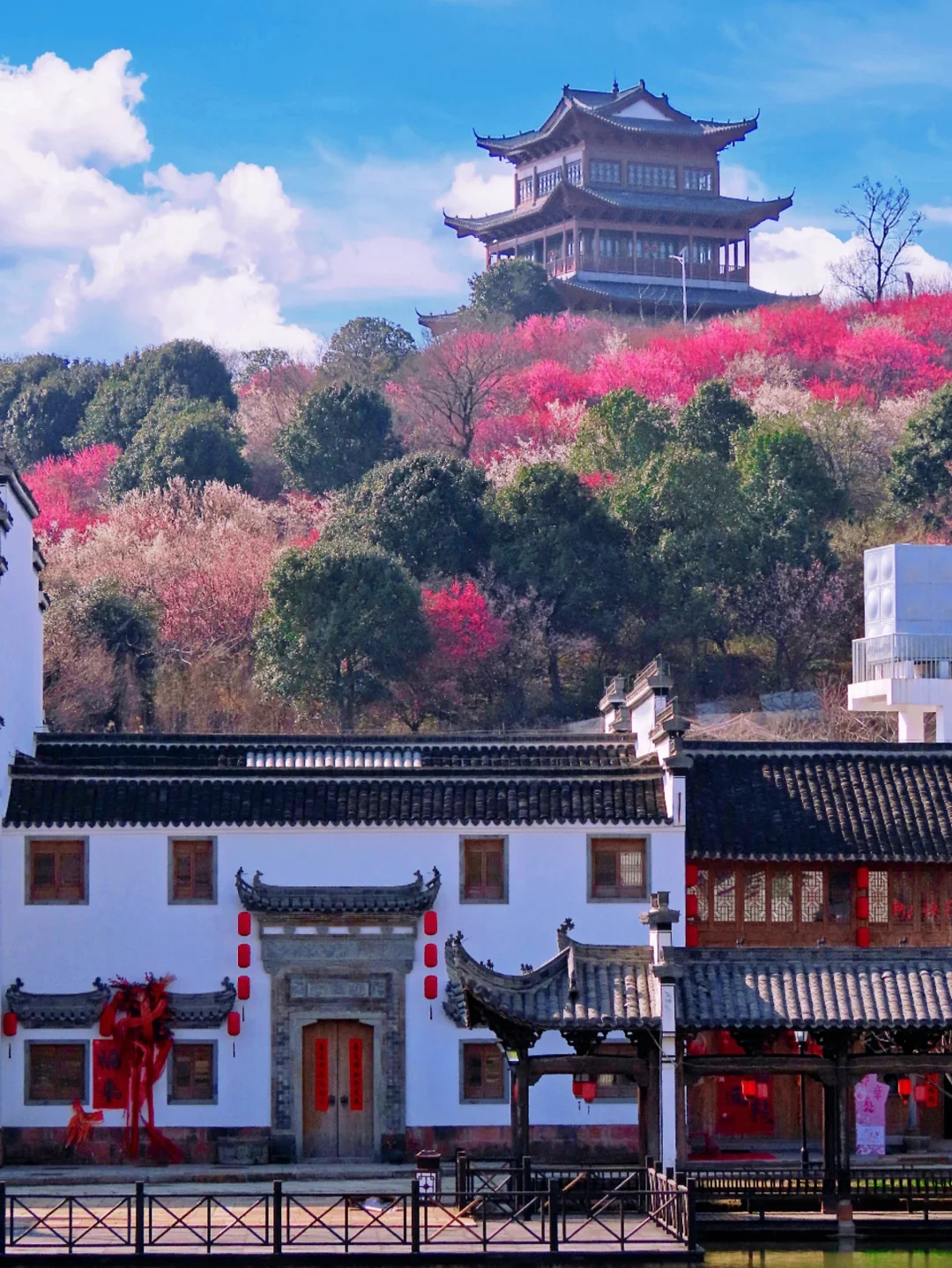 免费‼️南京这里的梅花即将花开成海