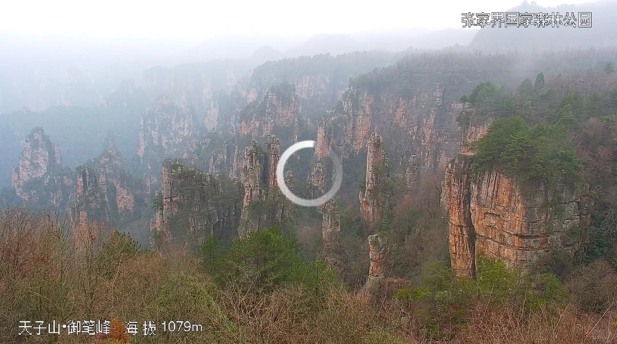 张家界景区实况2025年3月1日