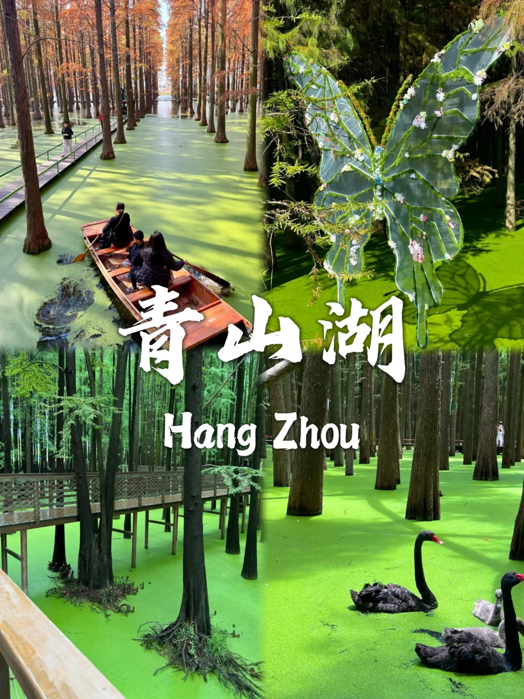 杭州必去9个景点❗❗旅行前必看❗❗