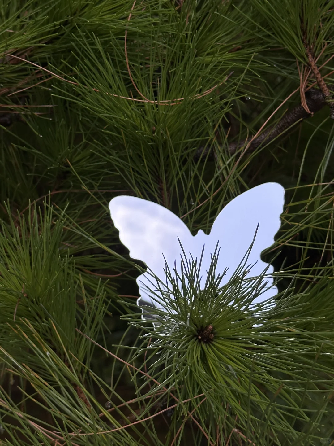 福州的寺庙已经Next level!!