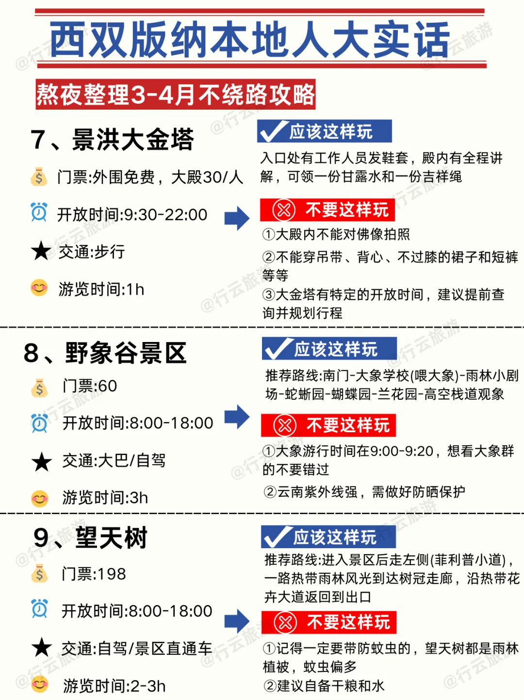 西双版纳本地人大实话【不踩雷攻略】