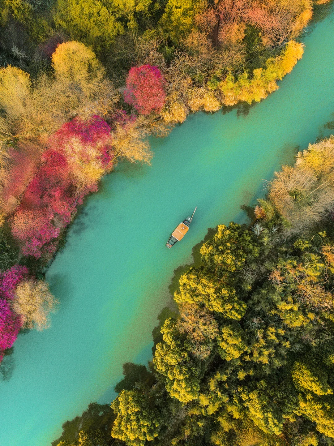 2月来杭州,我只推荐你去一个地方‼️