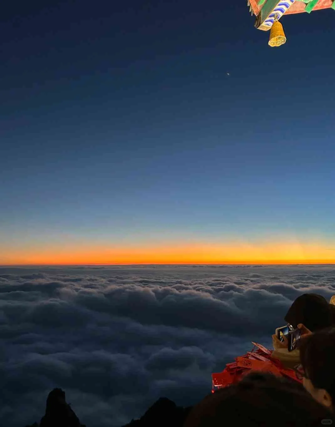 🌸3月洛阳旅游攻略｜绝美