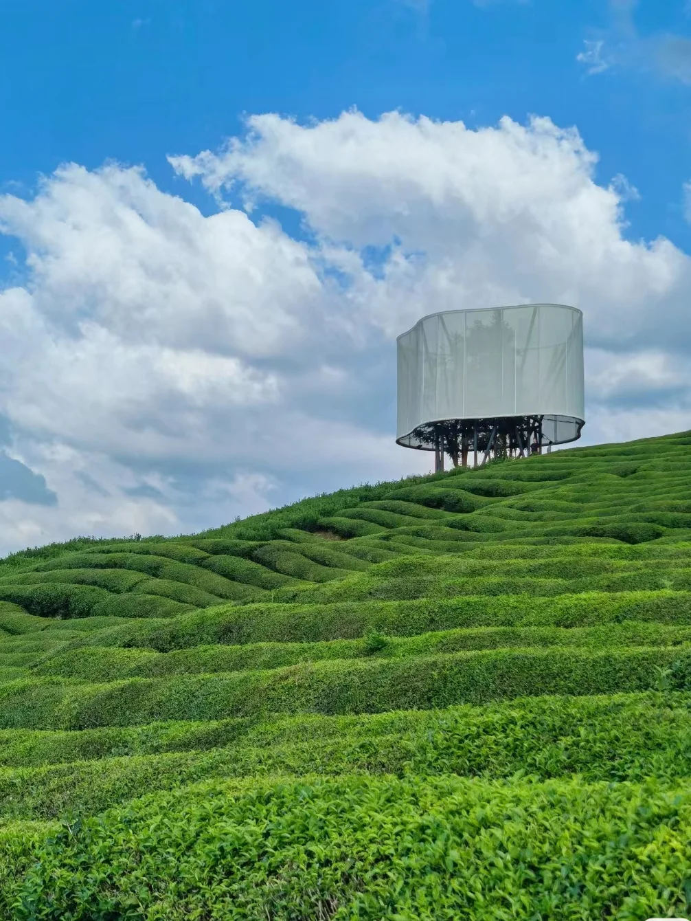 景德镇旅游攻略||包车自由行