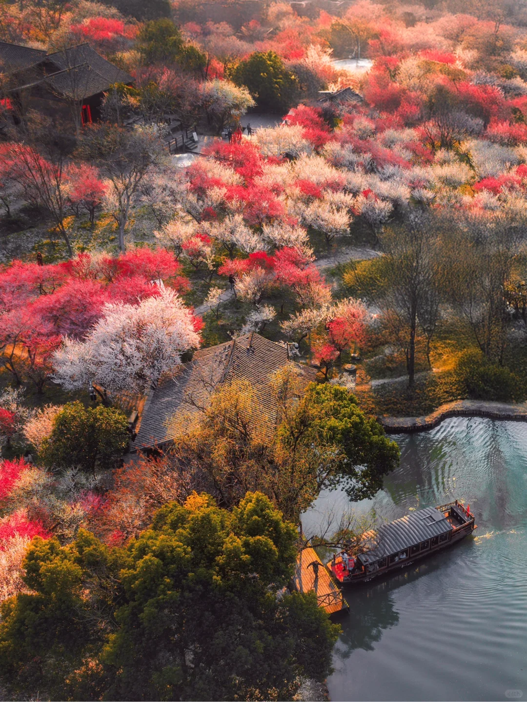 2月来杭州,我只推荐你去一个地方‼️
