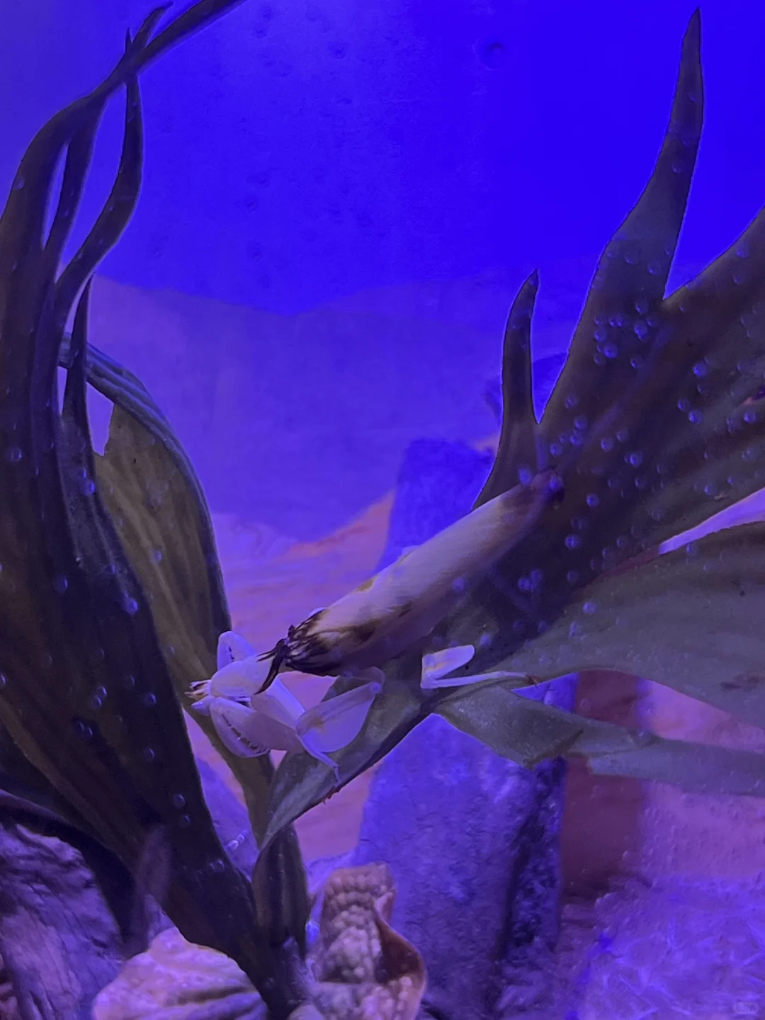 2-3月来北海玩真的要听劝。。。已老实🙏