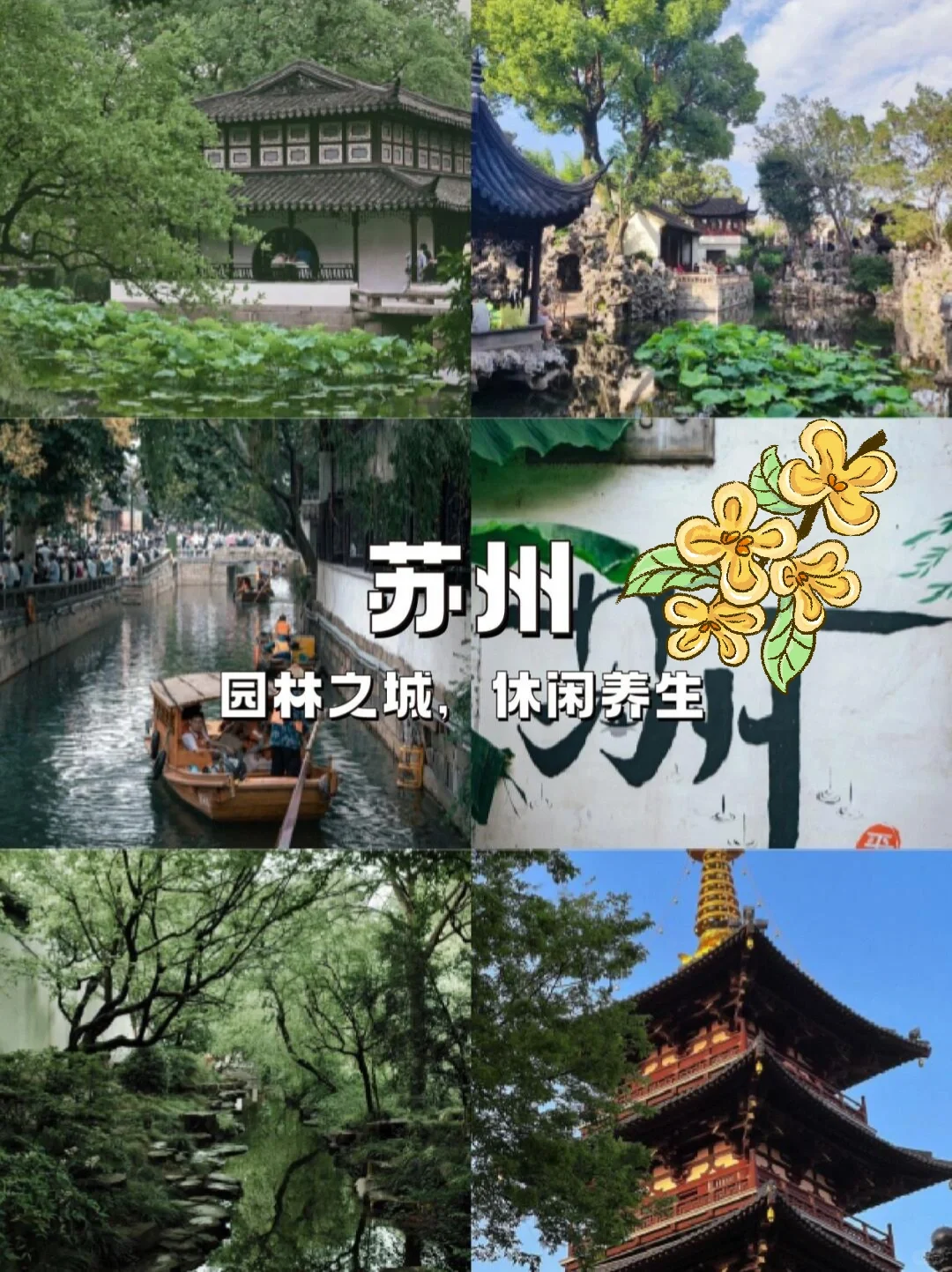 带上老人，一起去旅行