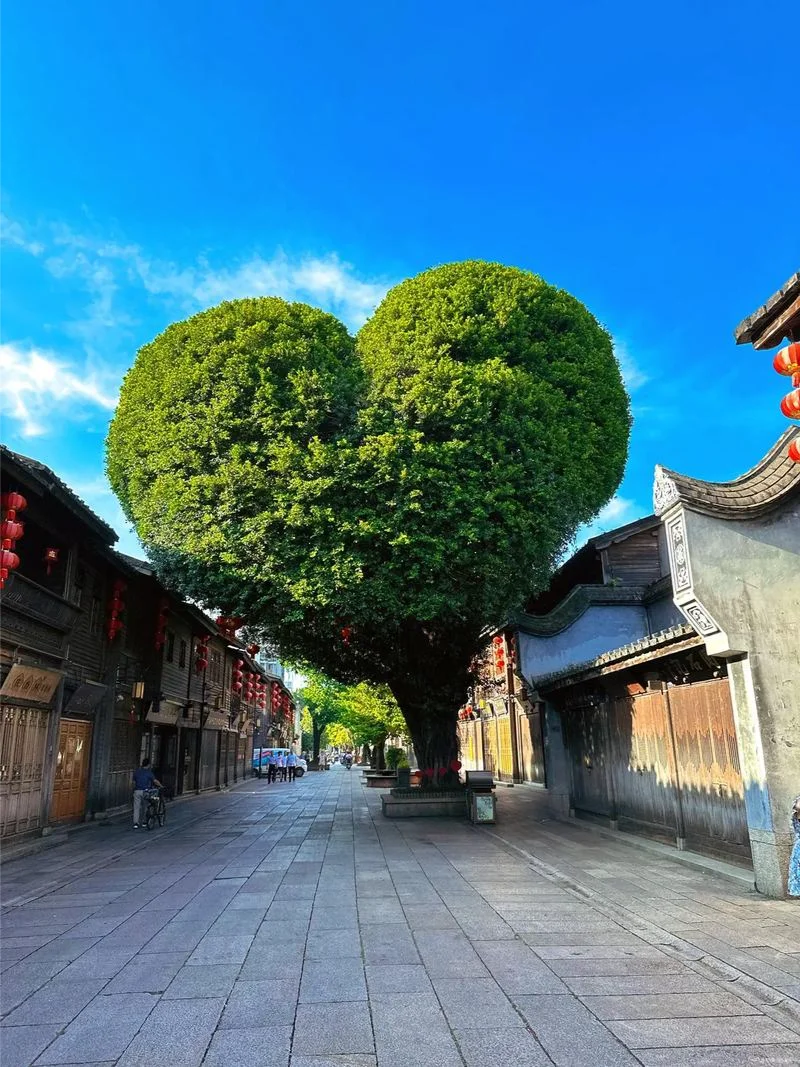 🌟【福州旅游全攻略】🌟