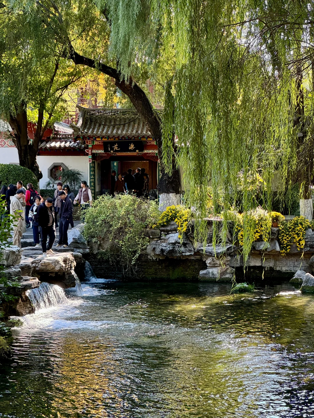 冬天来济南就走这条泉水city walk路线!