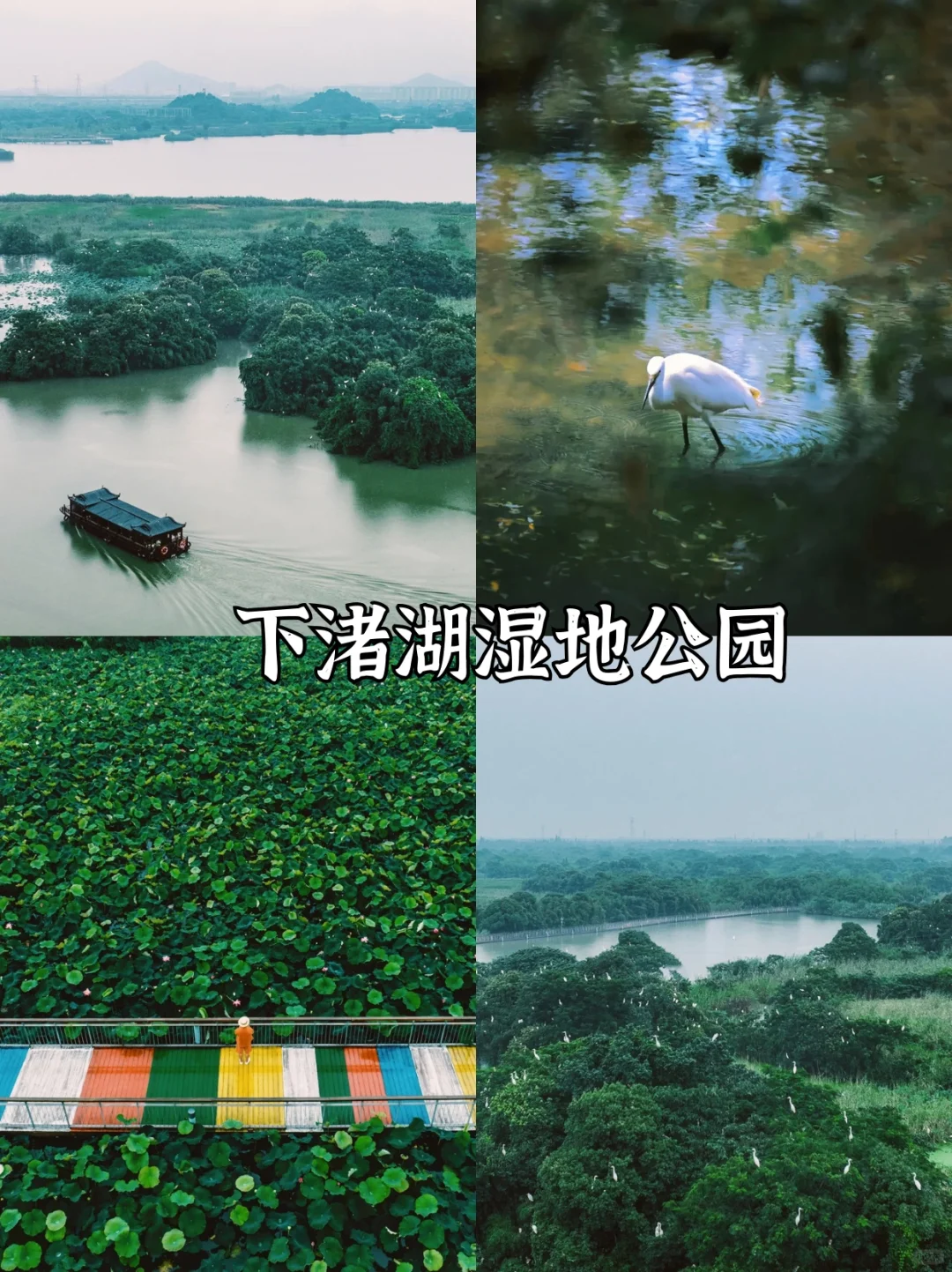 莫干山旅游攻略|吐血整理‼️主打听劝就来