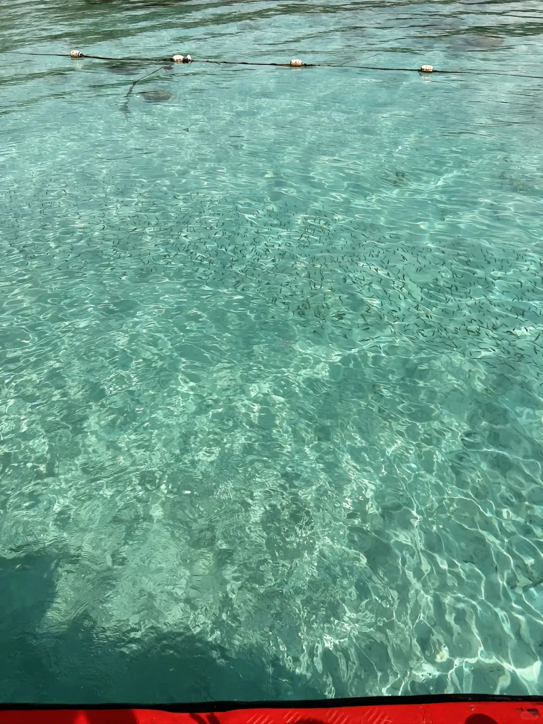 马来西亚亚庇 和仙本那 旅游攻略～