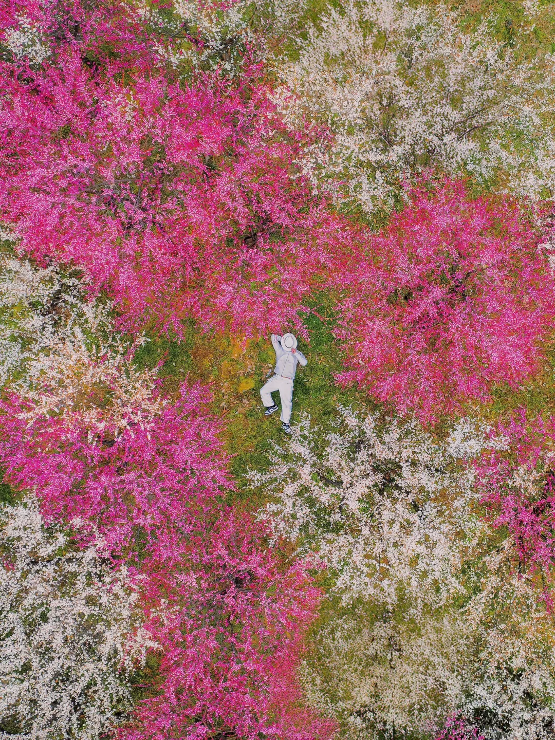 2月来杭州,我只推荐你去一个地方‼️