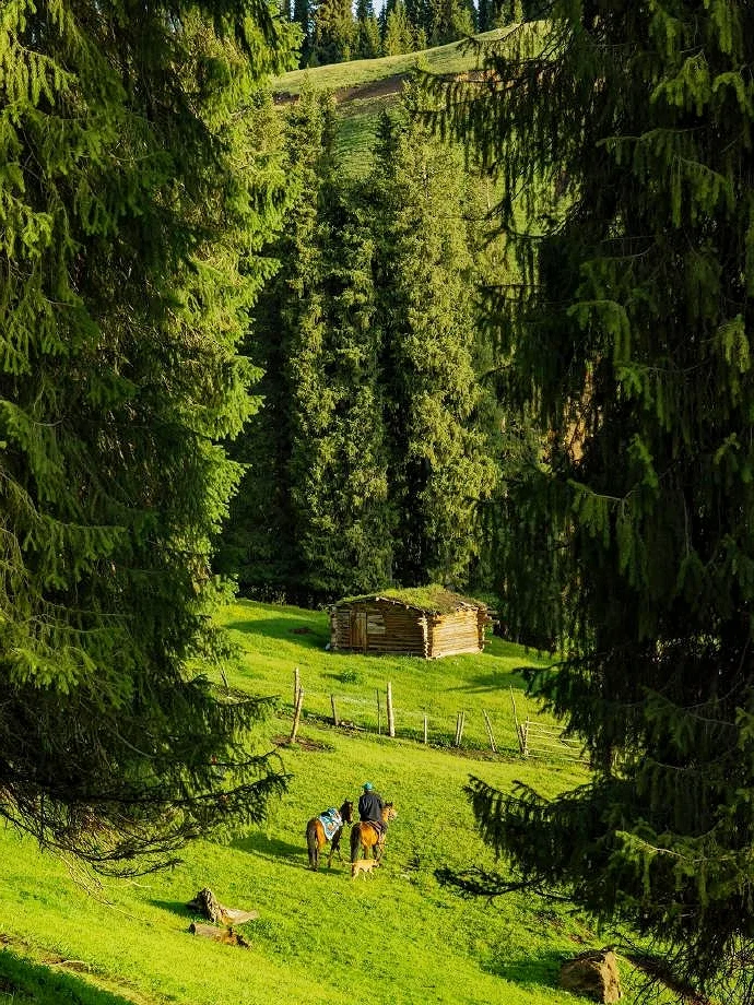 4-6月新疆旅游9天4000💰北疆纯玩全攻略