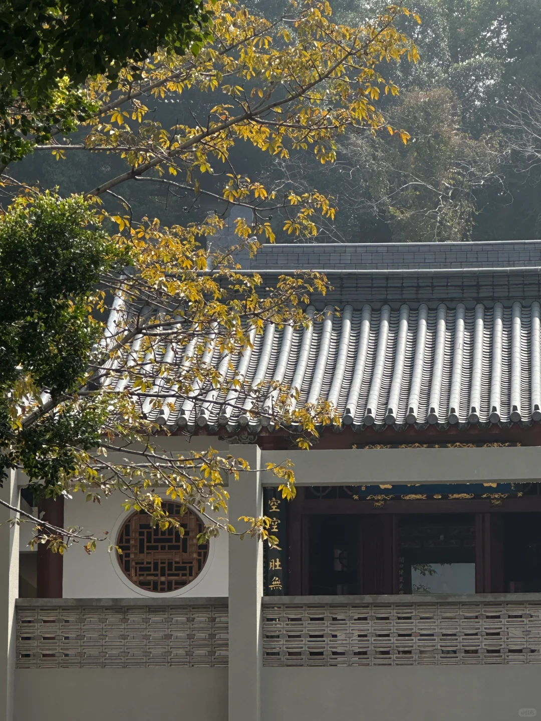 福州的寺庙已经Next level!!