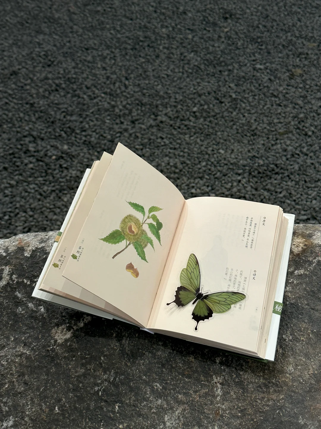 福州的寺庙已经Next level!!