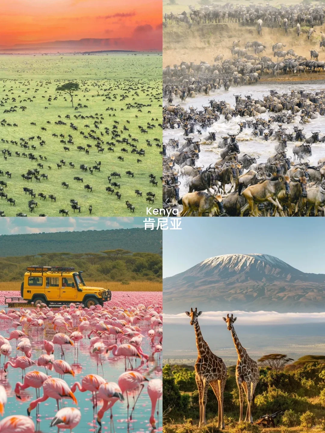 此生必去十大免签国，中国人说走就走！