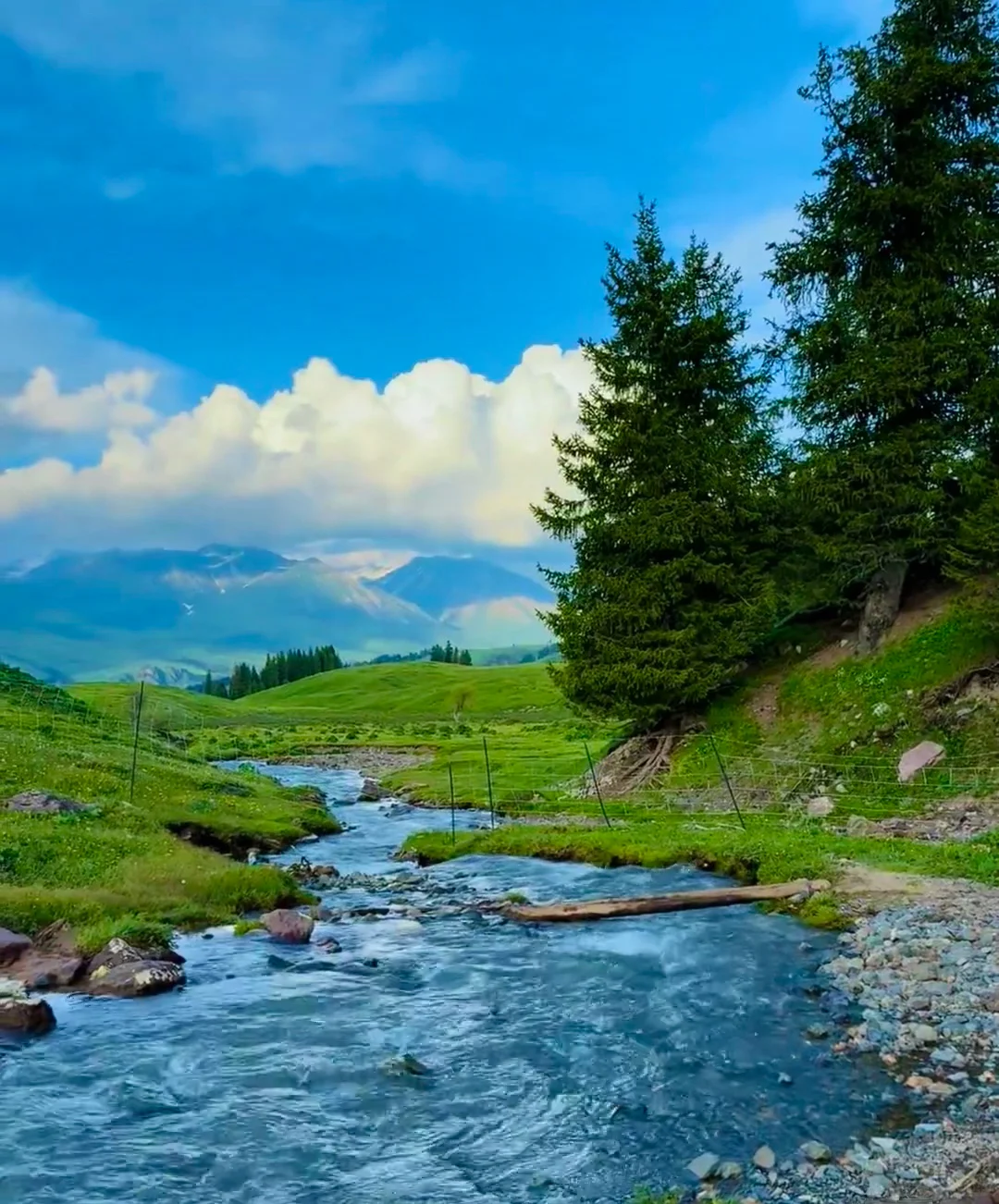 Deepseek推荐的淡季旅游地，人少景美还省钱！